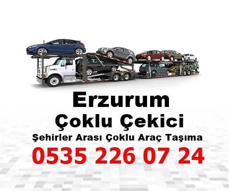 Erzurum Çoklu Çekici