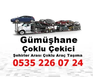 Gümüşhane Çoklu Çekici