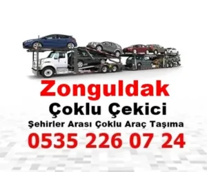 Zonguldak Çoklu Çekici